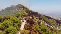 Ora News - Vatra 4 ditë aktive, qindra hektarë të djegura në pyllin e Drenies Patos, situata serioze