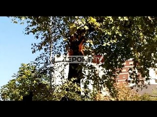 Report TV -I vihet zjarri rrapit në mes të Tiranës