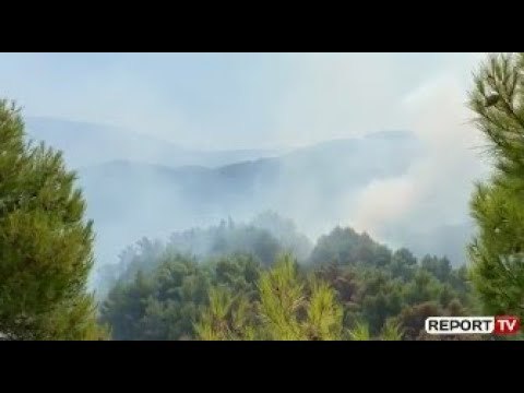 Vijon zjarri në Drenie të Fierit, shefi i zjarrfikësve: Situata e vështirë, rrezikohet asfiksimi