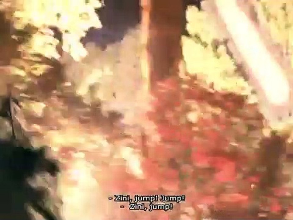 Story of different different types of animals