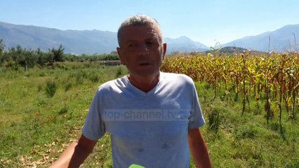 Vuajtjet prej tokave në bregdet/ Dy banorë të Orikumit tregojnë “torturën” në zyrat e hipotekës