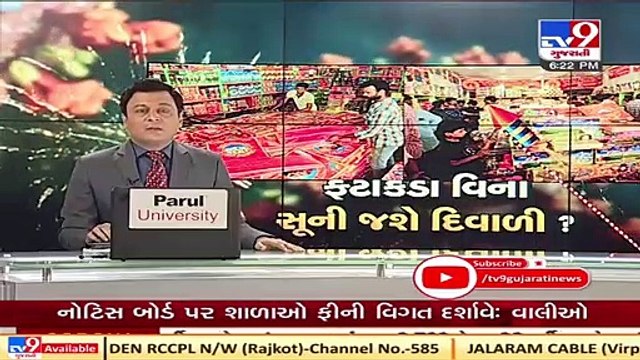 Crackdown on Crackers; Maharashtra, Delhi govts ban bursting of firecrackers at public places_ TV9