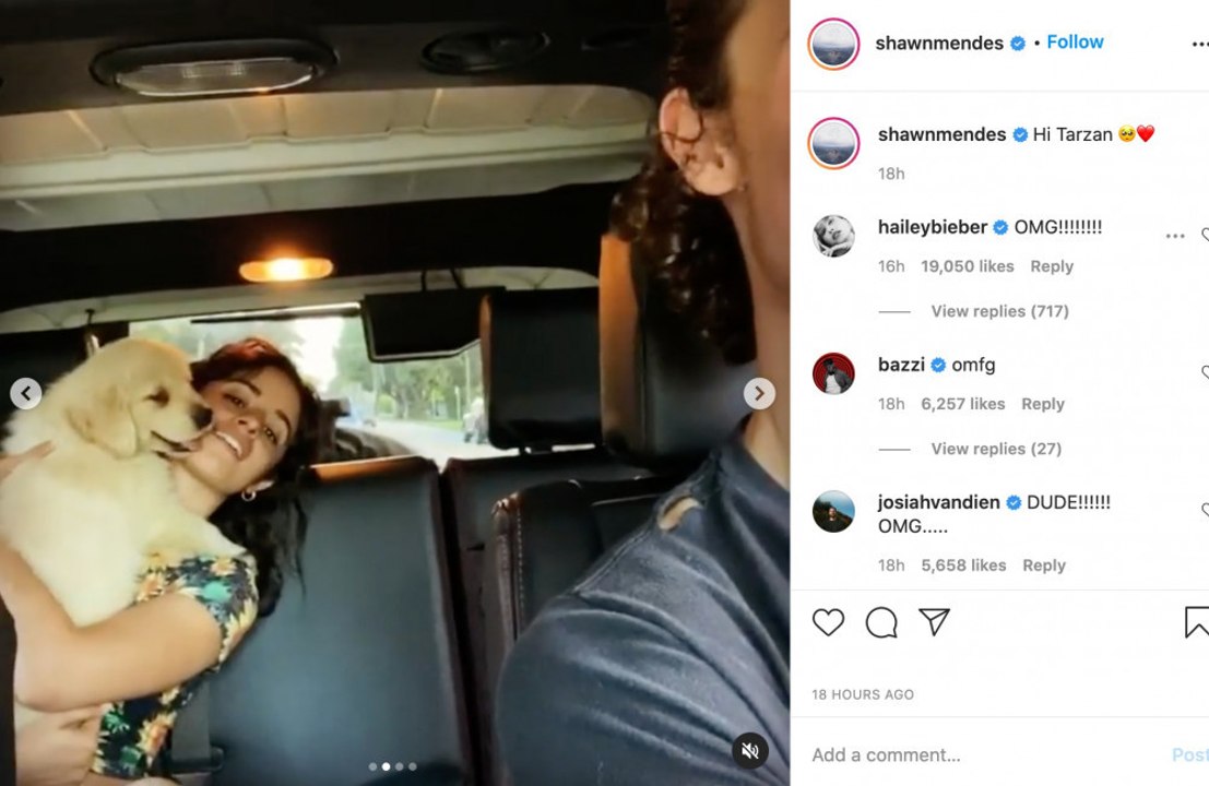 Shawn Mendes und Camila Cabello haben einen neuen pelzigen Freund!