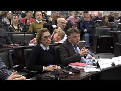 Град Скопје ја губи битката со комарците