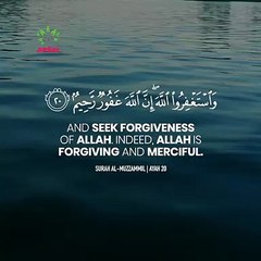 #whatsapp_status,1080_30_8.51_Nov042020