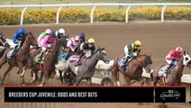 Breeders’ Cup Juvenile: Exacta, Trifecta, Odds and Best Bets