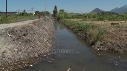 Ora News - Lezhë, tokat bujqësore djerrë