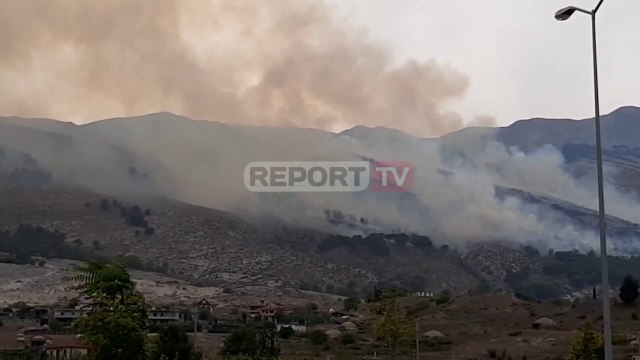 Report TV -Zjarr në Parkun Natyror në Gjirokastër, digjen 2 ha të kurorës së pishave