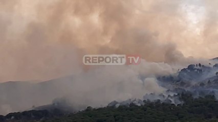 Zjarr në Parkun Natyror në Gjirokastër, digjen 2 ha të kurorës së pishave