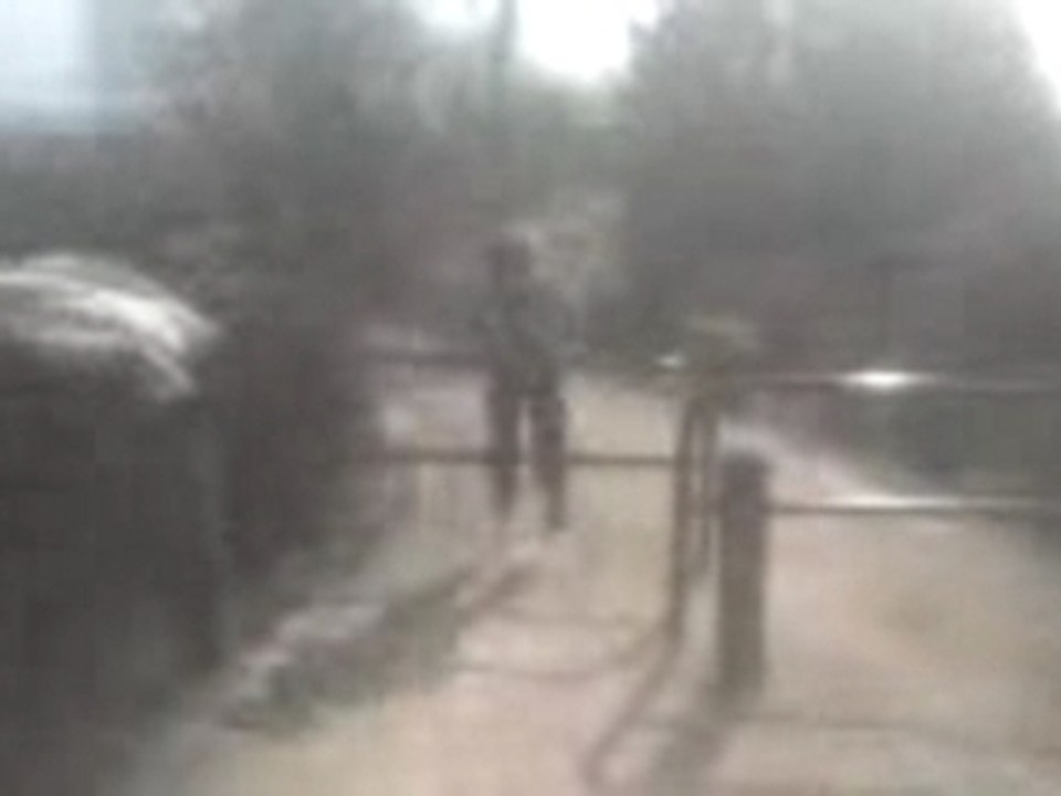 MOV00022