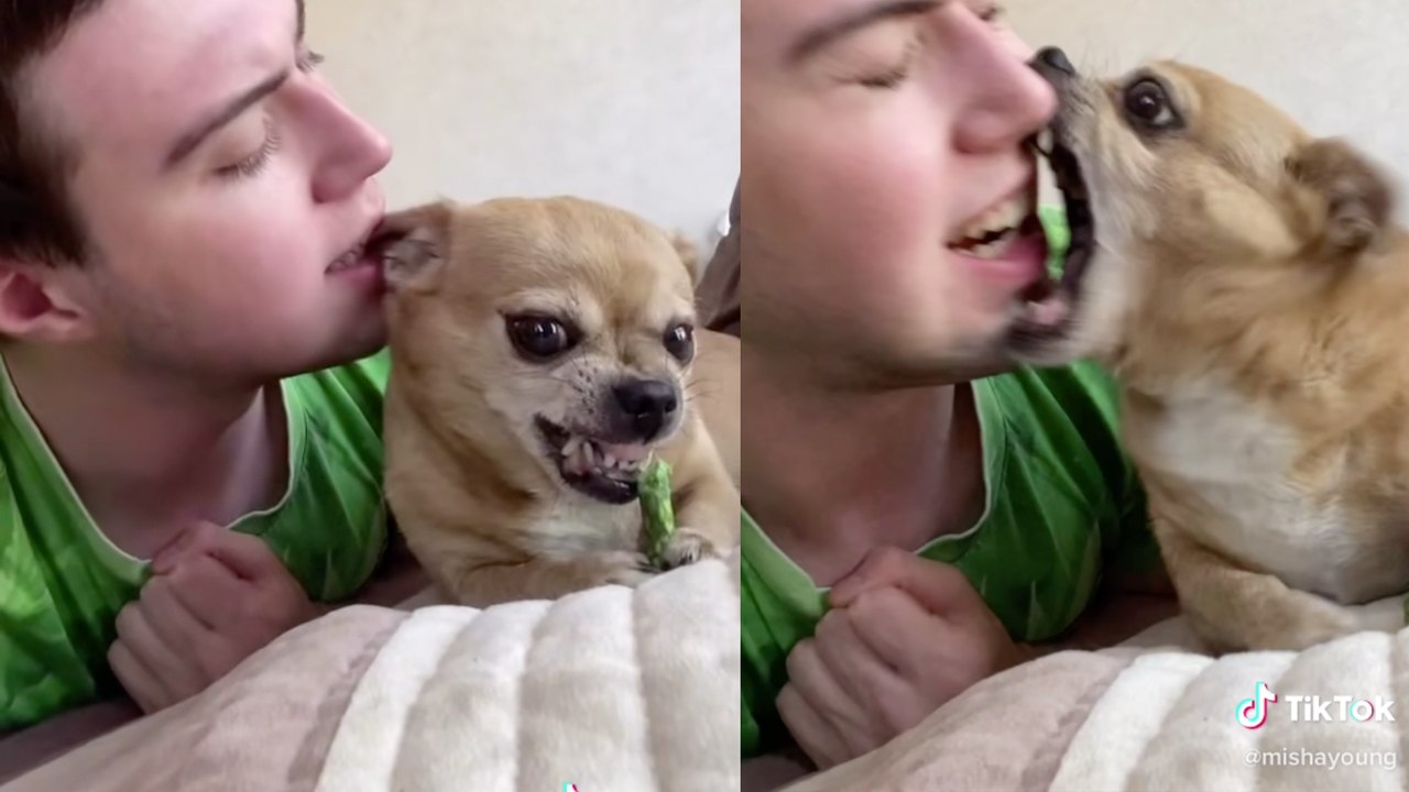 Everything That Could Go Wrong Goes Wrong In These TikToks