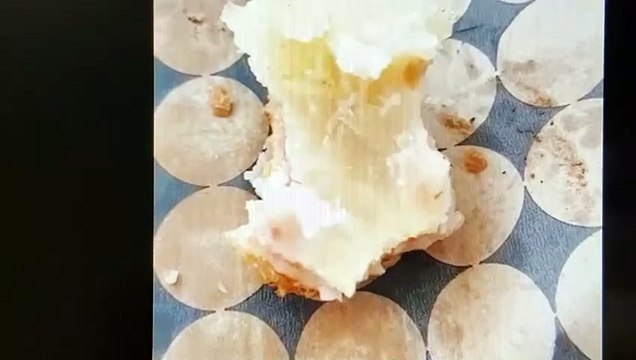 Moradora de Águas Claras encontra larvas na comida