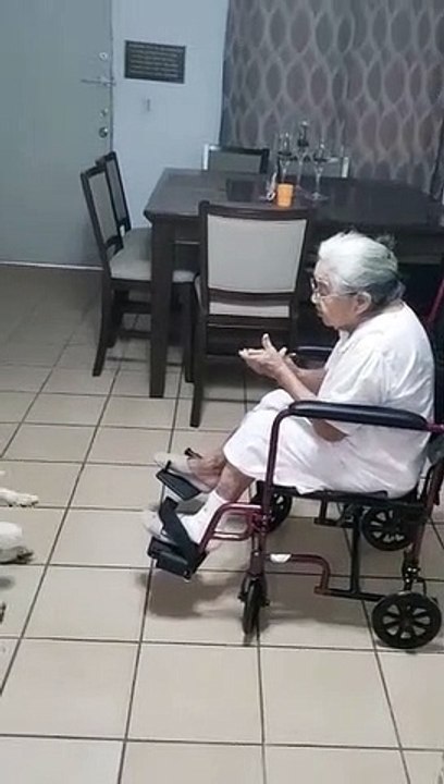 dog dances to grandma's singing - puppy dance while grandma singing - funny dog moment