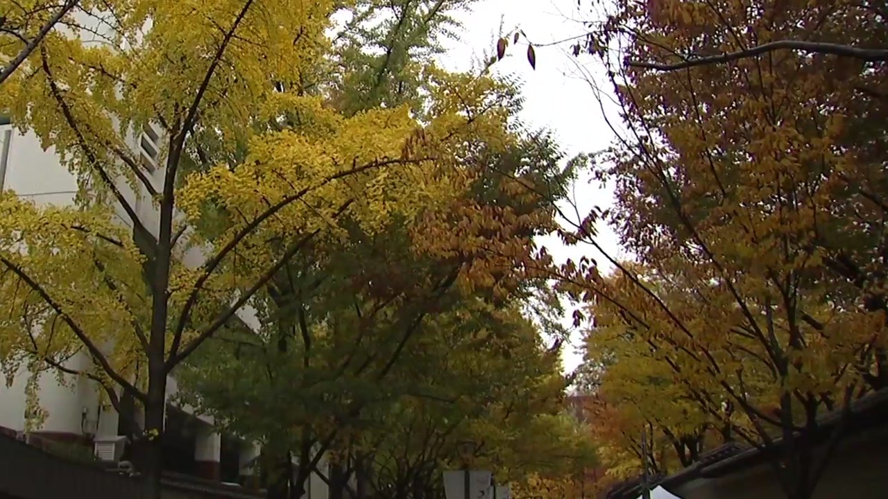 [날씨] 오늘 선선하지만 곳곳 가을비...주말 미세먼지 주의 / YTN