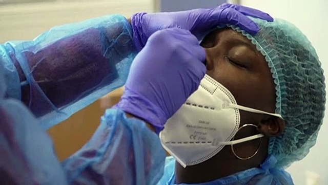 Mutation du Covid : le Danemark veut euthanasier 15 millions de visons