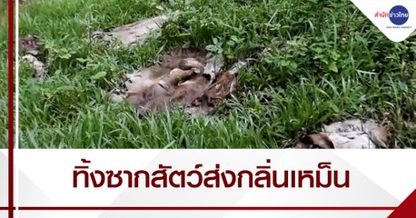 เรื่องนี้มีคำถาม : ชาวบ้านเดือดร้อนทิ้งซากหนังวัวส่งกลิ่นเหม็น