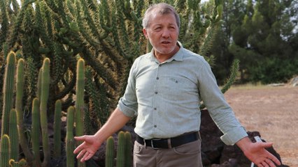 Botanik bahçesindeki kaktüsleri çaldılar