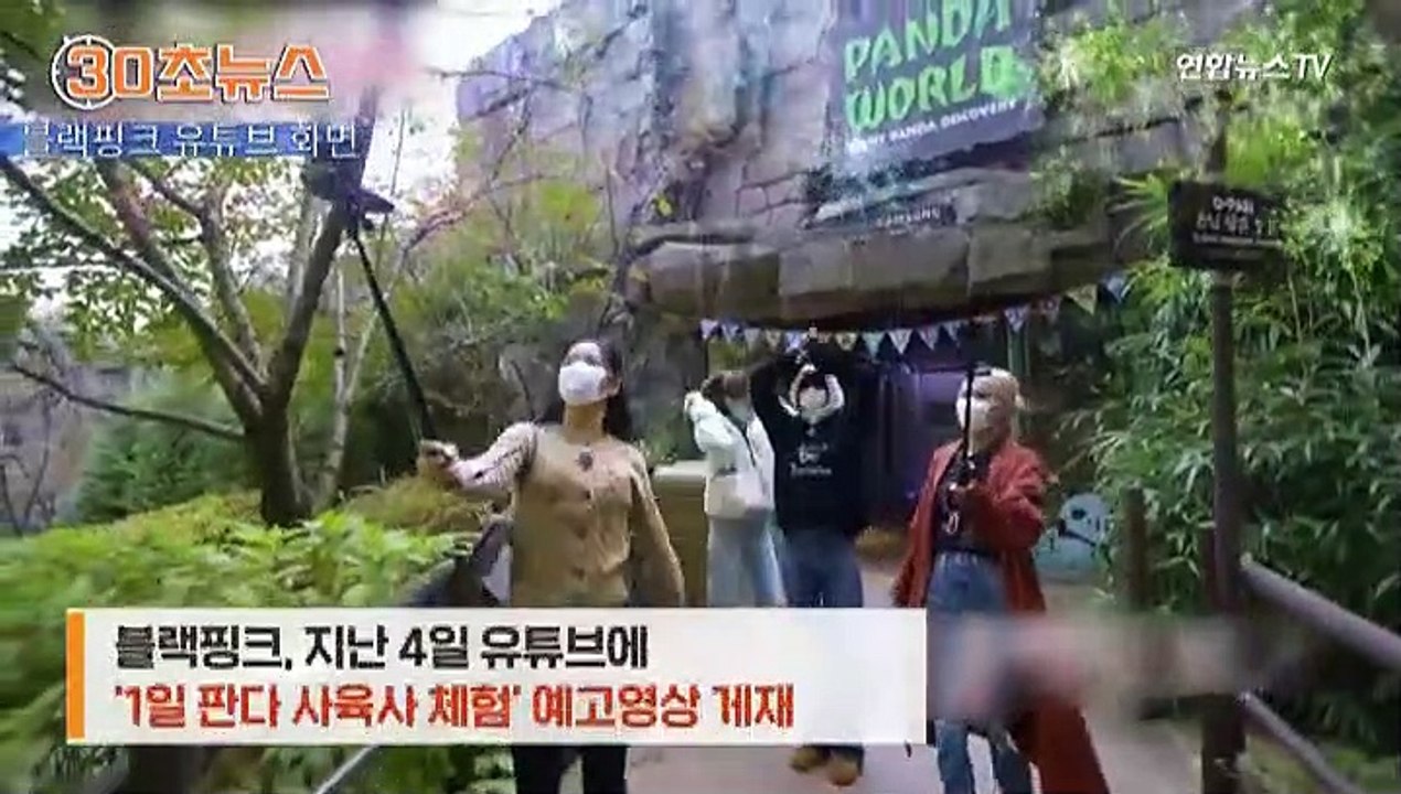 [30초뉴스]中, 이번엔 '블랙핑크' 공격…"판다 맨손으로 만졌다"