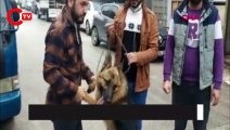 Köpeği çaldığı sanılıyordu, gerçek sonradan ortaya çıktı