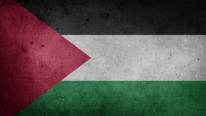 PALESTINE A  Place to  Call Our Home