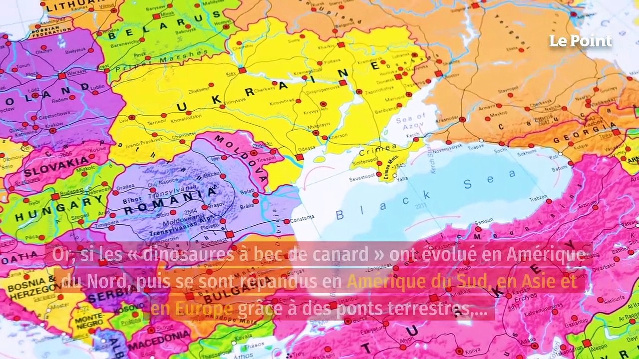 Dinosaures : l'étrange découverte qui interroge les scientifiques