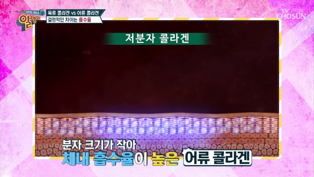 분자의 크기 최소화한 「저분자 콜라겐 펩타이드」 #광고포함