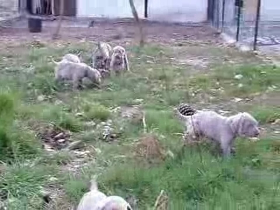 IMGP3084