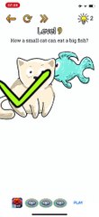 Cat Brain Level 9