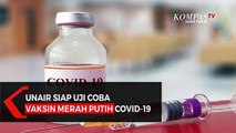 UNAIR Siap Uji Coba Vaksin Merah Putih Covid-19