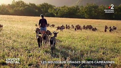 "Envoyé spécial" : Un bug relance un reportage à zéro, Elise Lucet meuble