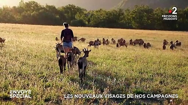 Envoyé spécial : Un bug relance un reportage à zéro, Elise Lucet meuble