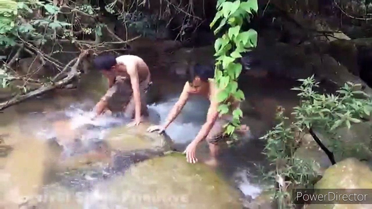 survival meaning in hindi - survival meaning in english- survival skills stone Ax, Coconut Cutting  -   survival in the rainforest with This area is rich life in Ostrich - cooking Ostrich Egg with Pumpkin, survival in the rainforest, This area is rich