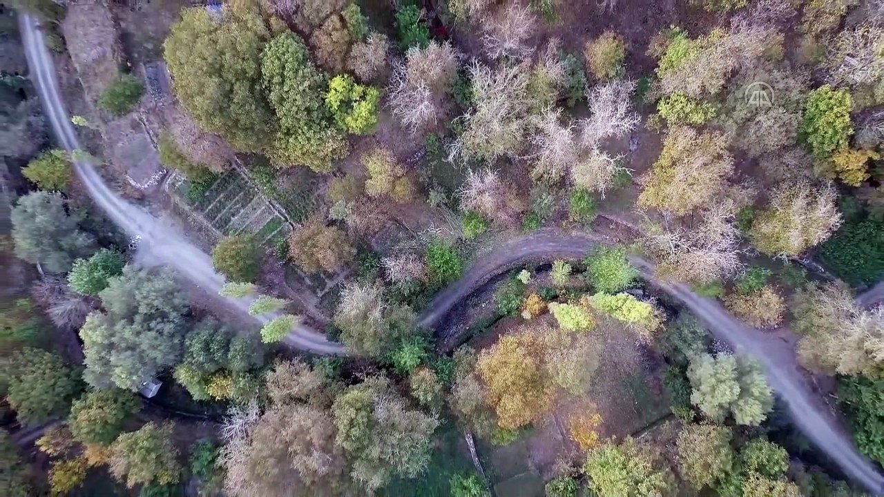 Kayseri'nin doğal güzellikleri göz alıcı sonbahar renkleriyle hayran bırakıyor