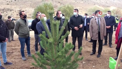 Ayda ve Elif Bebek adına fidan dikildi