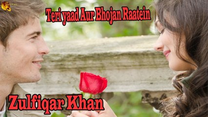 Teri yaad Aur Bhojan Raatein | Zulfiqar Khan | Mah Noor Kahnzada | Ghazal