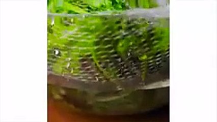 30 TRUCOS DE COCINA QUE TE HARÁN EL MEJOR CHEF SIEMPRE