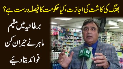 Bhang ki kasht ki ijazat, kya hakoomat ka faisla darust hai? Bartania mei muqeem Mahir nay heraankun fawaeed bata diye