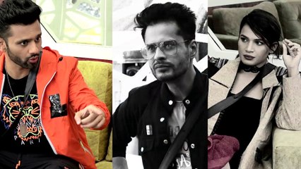 Bigg Boss 14; इस हफ्ते घर से नहीं होगा कोई बेघर, Naina, Shardul ,Rahul हुए Safe |FilmiBeat