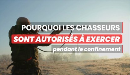 Pourquoi les chasseurs sont autorisés à exercer pendant le confinement