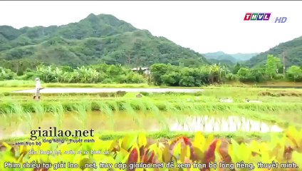 đại thời đại tập 560 - thvl1 long tieng tap 561 - phim dai loan tron bo - xem phim dai thoi dai