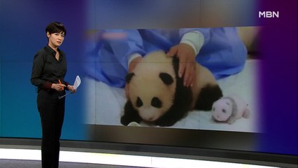 김주하의 11월 6일 '이 한 장의 사진'