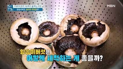 양송이버섯 세척 꿀팁 대공개@@
