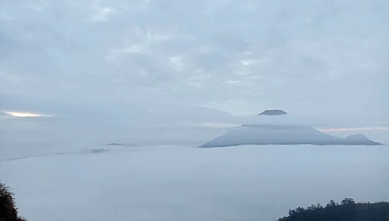 video_20191103_052159_540P