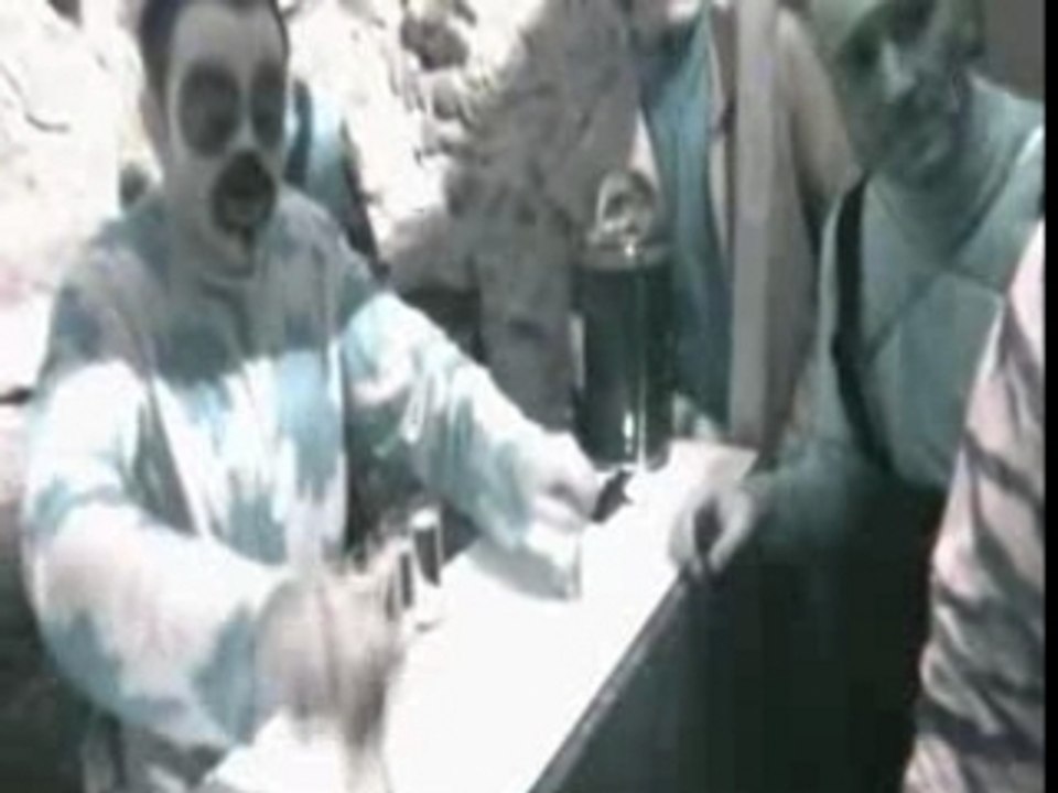 LA CAVE AUX FOLLEDINGOS  (animaux insectes) by crb