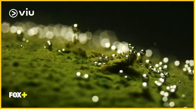 اكتشف العالم من حولك وسافر الى العديد من الوجهات حول العالم مع سلسلة ناشيونال جيوغرافيك