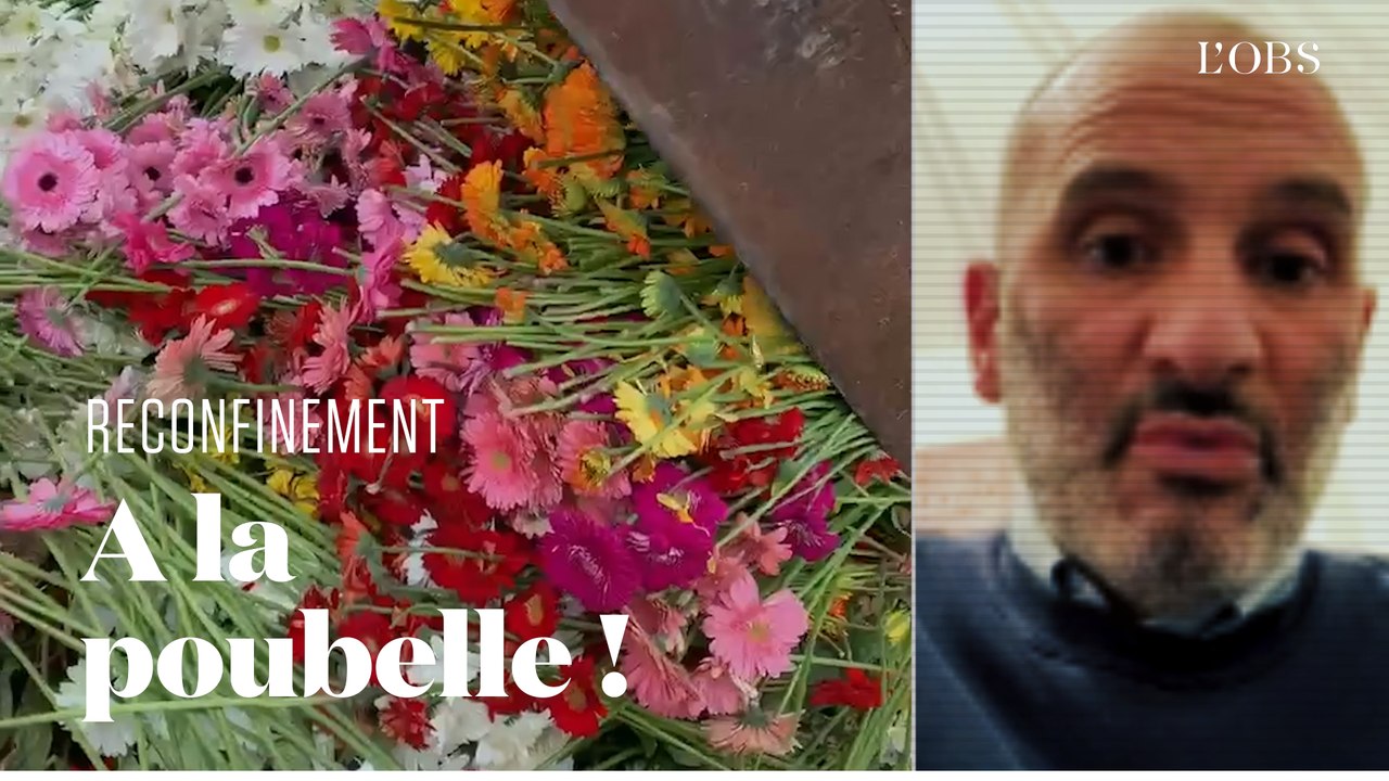 Fermeture des fleuristes : l'appel d'un horticulteur contraint de jeter 20 000 fleurs par jour