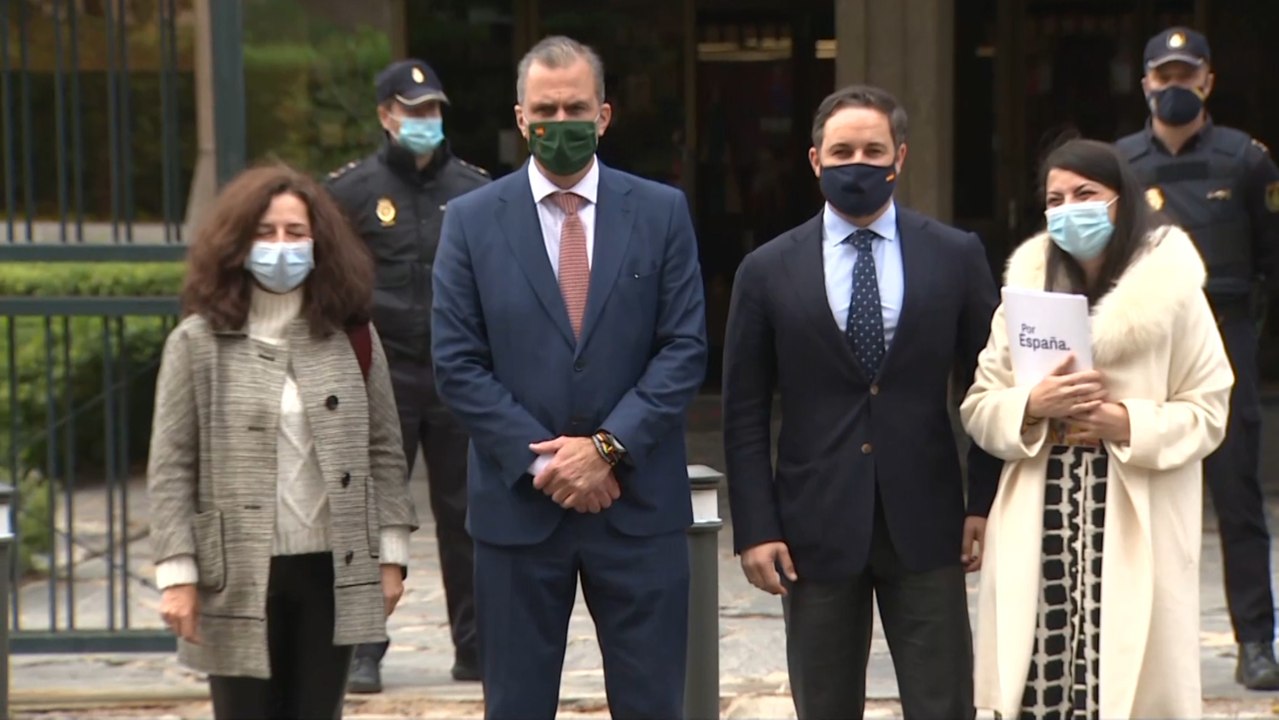 La ultraderecha recurre el estado de alarma ante el Tribunal Constitucional