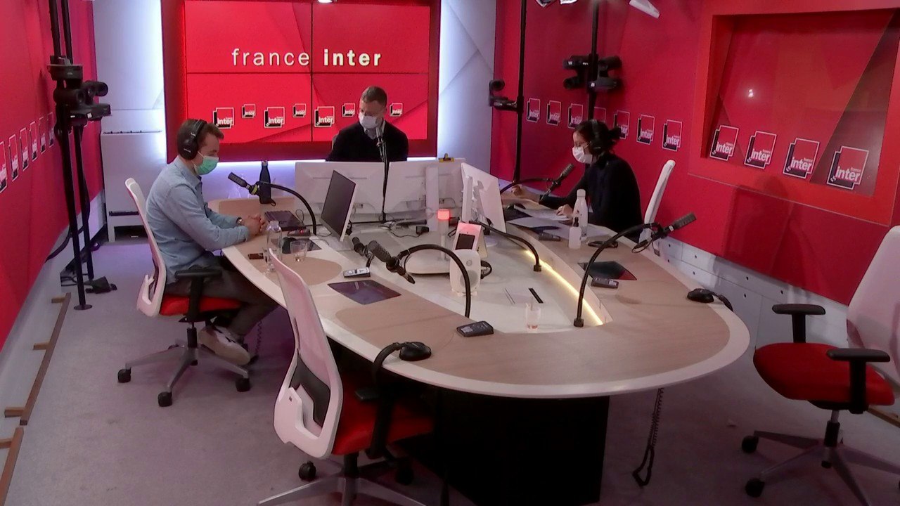 Porn Panda, guêpe godzilla, araignée géante - L'actualité de la planète