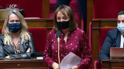Intervention de Brigitte Kuster lors de l'examen de la mission culture du PLF 2021 - 6 novembre 2020