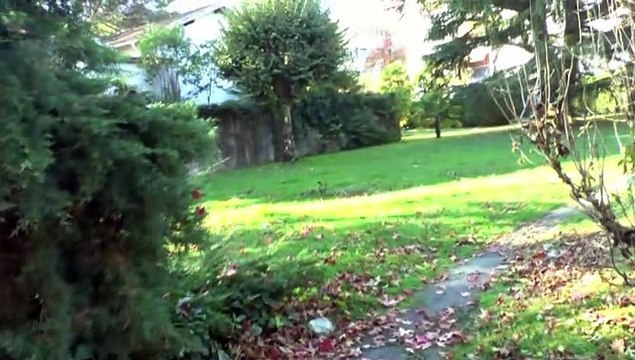 LES W-D.D. MICHOU64 NEWS - 30 OCTOBRE 2020 - PAU - RAVALEMENT RÉSUMÉ DE LA SEMAINE N° 44 DU 26 AU 30 OCTOBRE